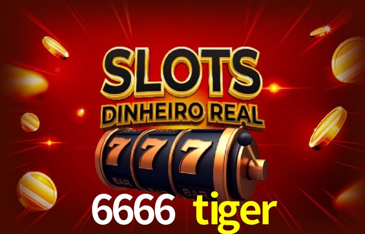 6666 tiger Sistema Rápido