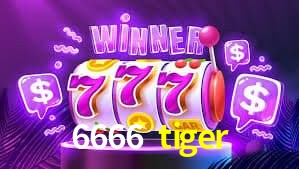 Experiência VIP 6666 tiger