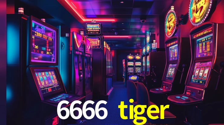 6666 tiger,6666tiger