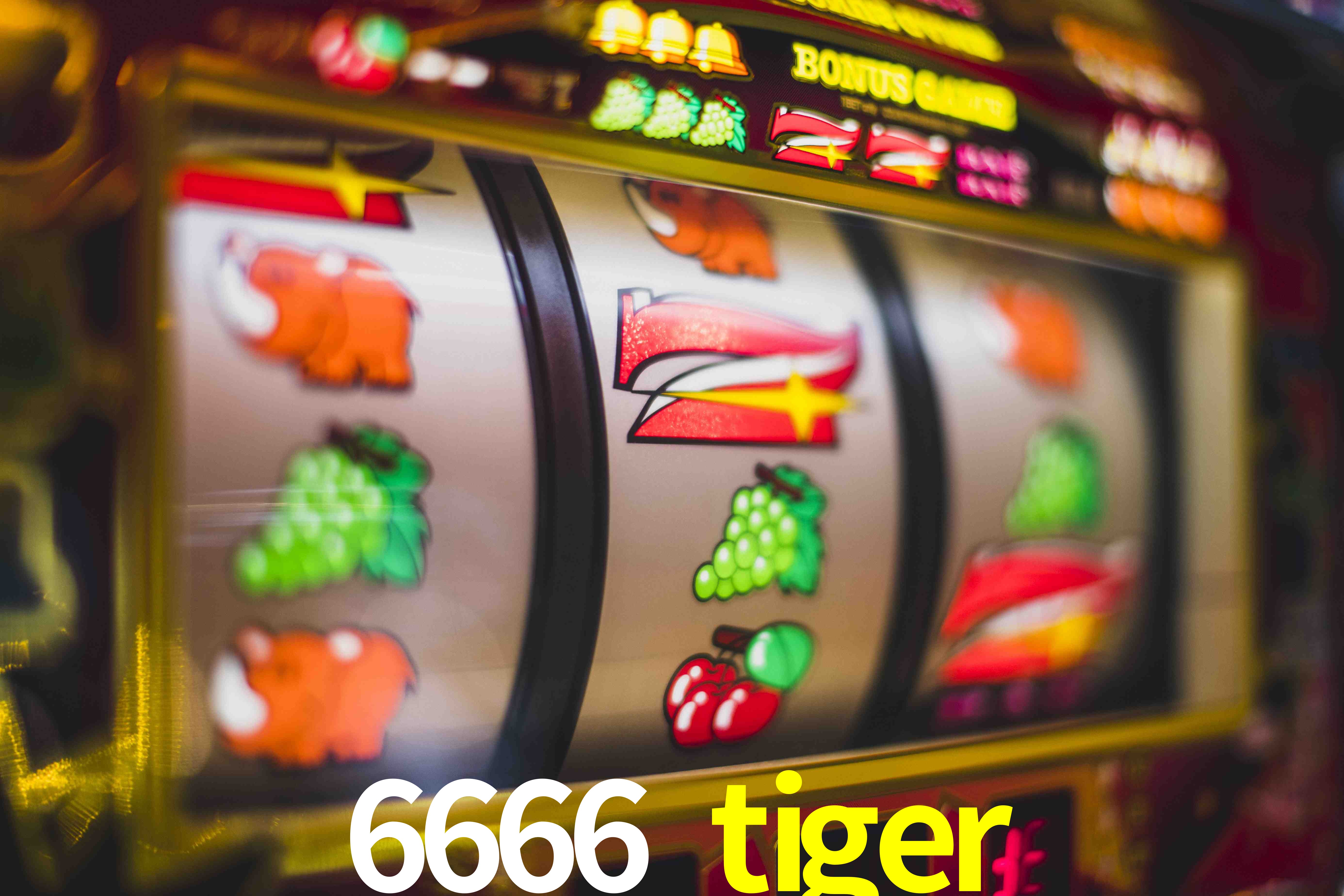 Basketball Betting 6666 tiger