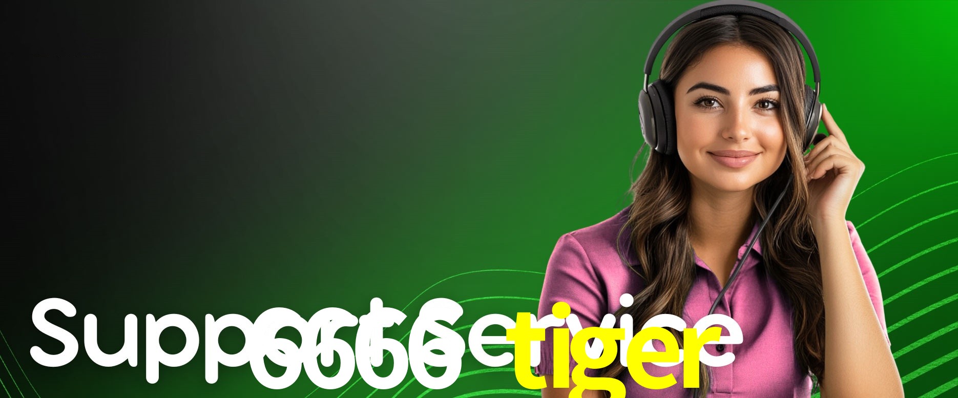 API Integration 6666 tiger