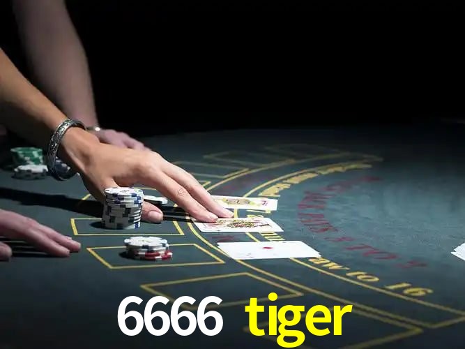 Sistemas de Segurança 6666 tiger