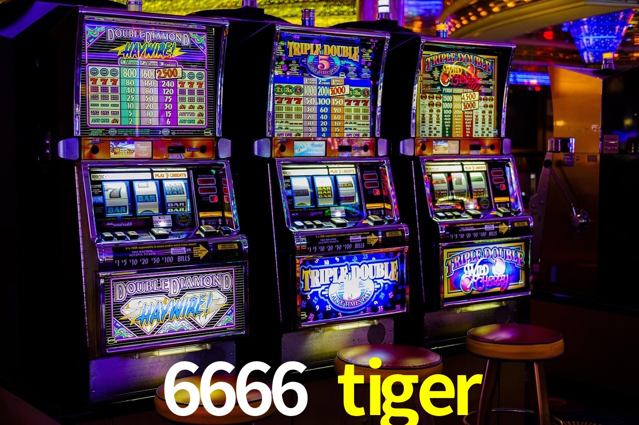 Casino Ao Vivo 6666 tiger
