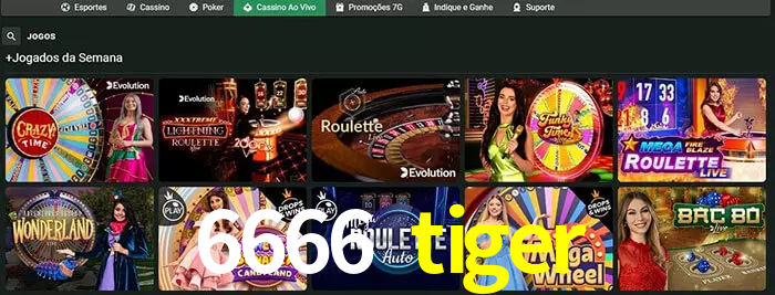 6666 tiger bet
